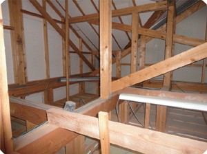 小屋裏侵入調査